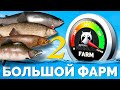 Русская Рыбалка 4 - Стрим БОЛЬШОЙ ФАРМ #2