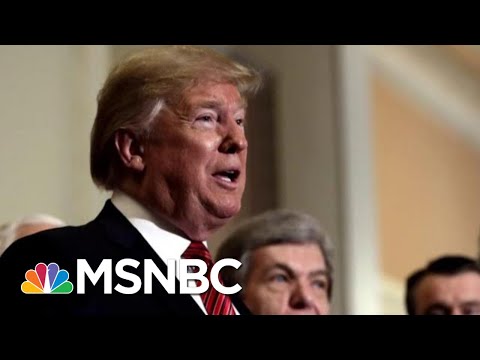 Neal Katyal Weighs In On Potential Articles Of Impeachment Against President | The Last Word | MSNBC