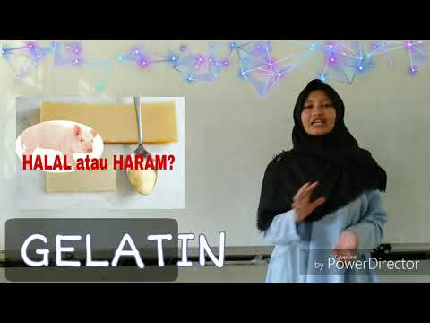 HALAL DAN HARAM SEDIAAN FARMASI #FARMASIHAMZANWADI #OBATHALAL #SEDIAANFARMASI #SERTIFIKASI