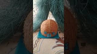  My Sweet Home And Drawing