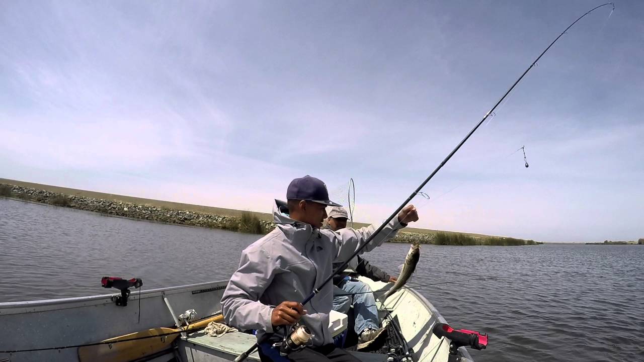 California Delta Striper Fishing YouTube