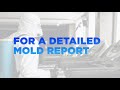 Bridgeman Building Care- Mold Removal
