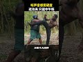 隔著屏幕都感覺到疼，這功夫，只能中午練！#Martialarts #shorts