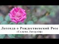 Легенда о Рождественской розе (Сельма Лагерлёф) / Аудиокнига