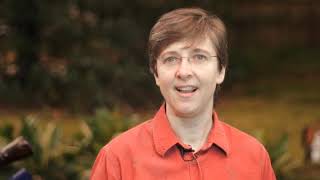 Growing Patterns book trailer.