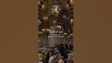 سورة لقمان 17| ياسر الدوسري | Surah Luqman 17 #قرآن #quran #surahluqman