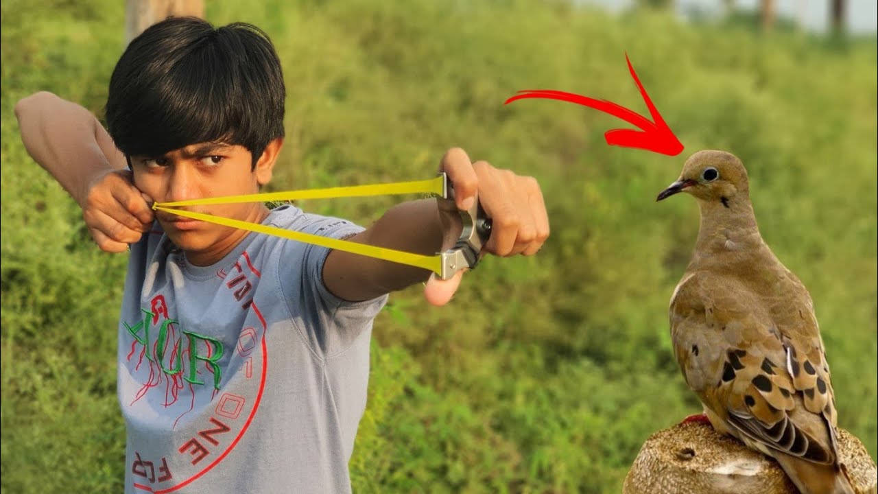 6mm steel ball is  Proficient enough to Hunt Birds ?  6mm Steel Ball Accuracy Test