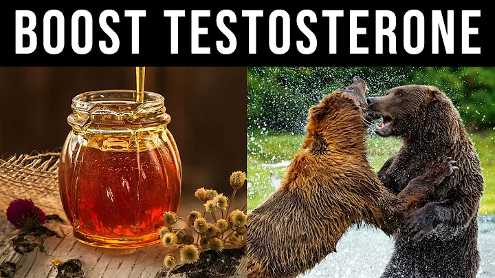 How HONEY Will Give You Testosterone like a Grizzly Bear