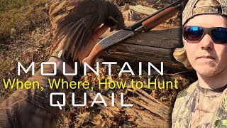 How To Hunt MOUNTAIN QUAIL - Tips & Tricks for Success! PLUS... A LOCATION GIVEAWAY?! WHAT?!