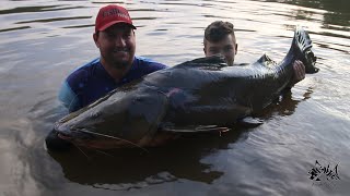 JAU DE 70 KG 48KG 37KG GIGANTES NO PESQUEIRO RECANTO MARAVILHA