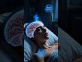 Why Do Humans Sleep? The Science Will Shock You!