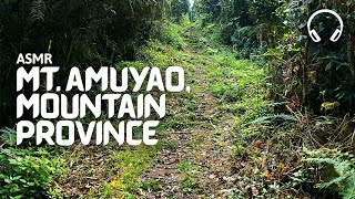 ASMR | A Hike in a BINAURAL Forest in the PHILIPPINES with Trees, Birds, and Footsteps on Leaves