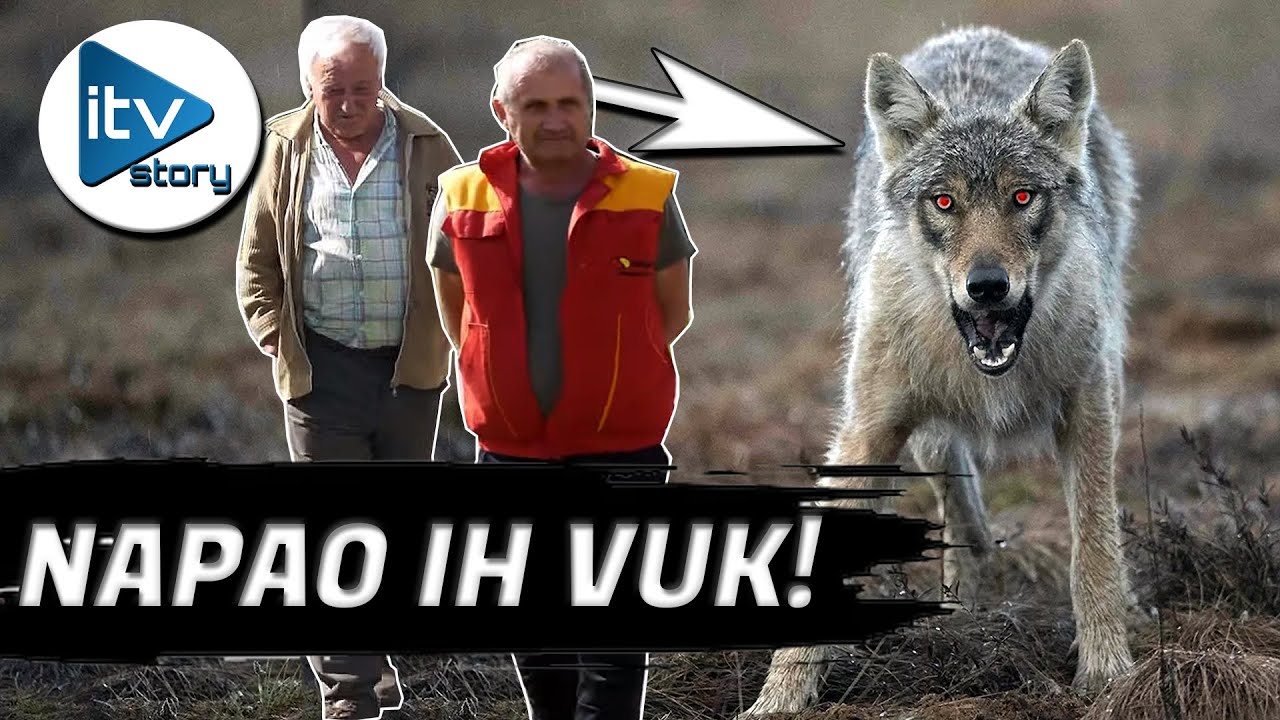 Napali nas vukovi u šumi, našli se na pogrešnom mjestu u pogrešno vrijeme!