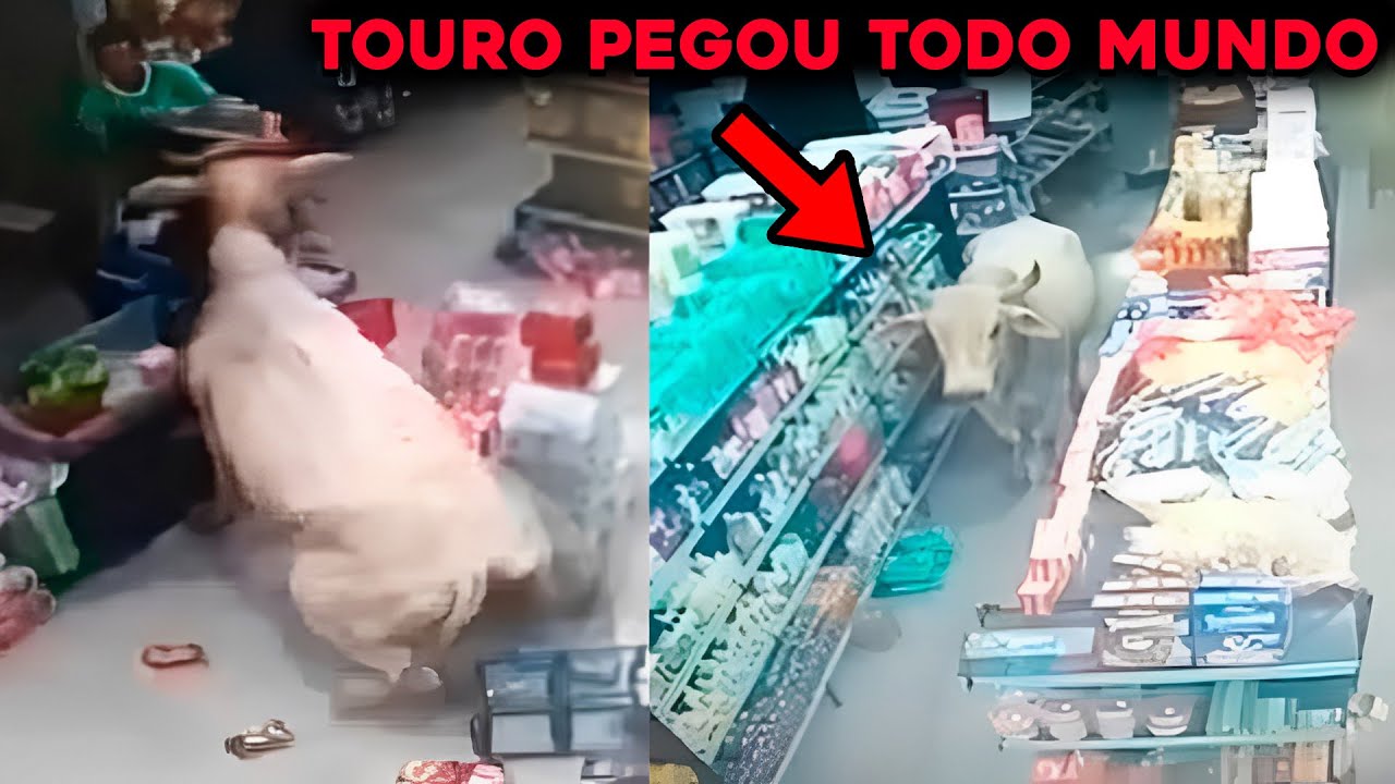 TOURO NELORE INVADE MERCEARIA E ATACA PESSOAS