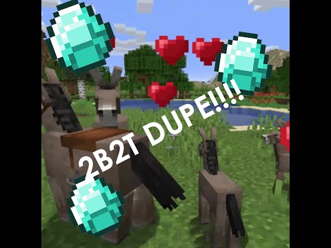 Breed portal dupe. Works on 2b2t