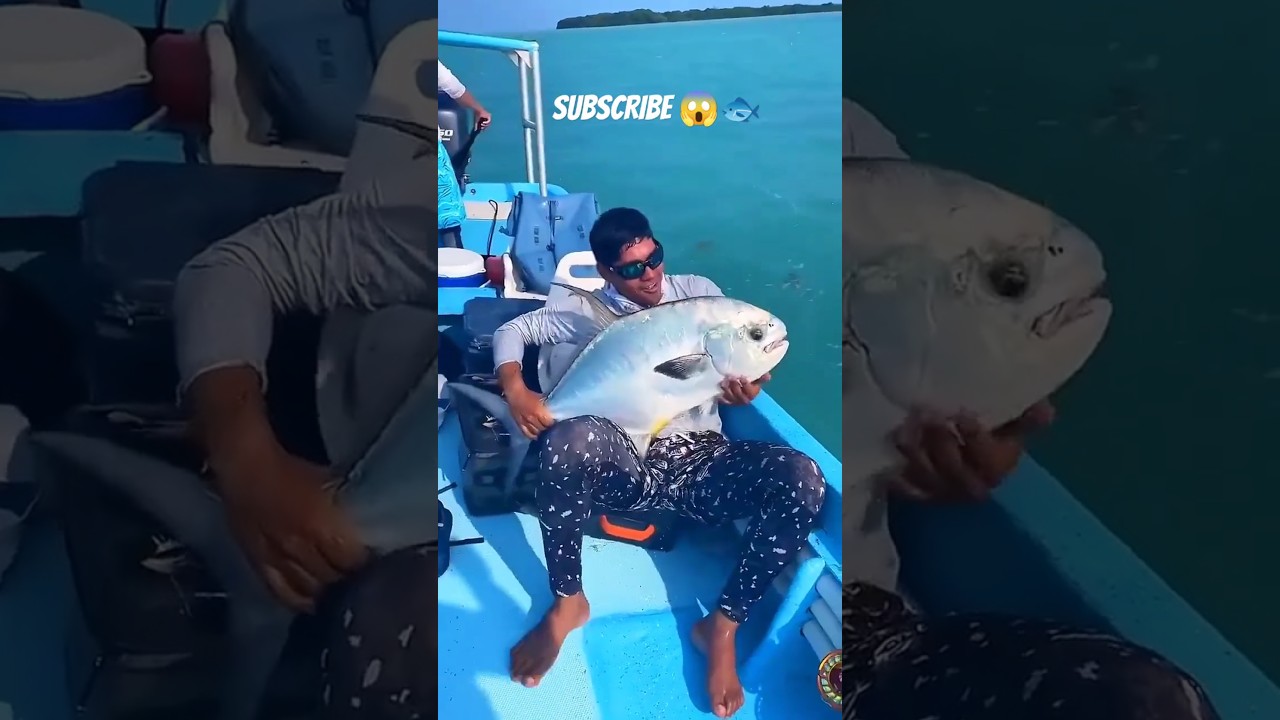 A Big Size Fish Caught 😱🐠 