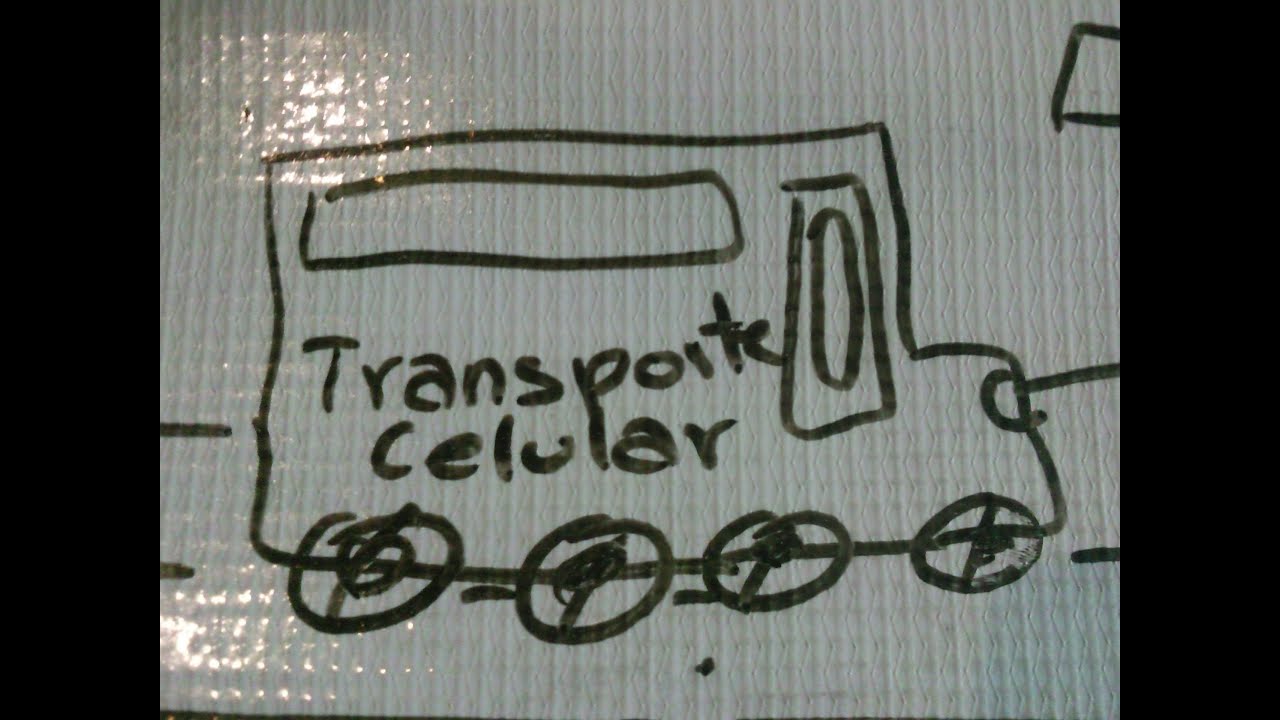 Transporte celular