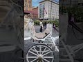 Sofì e Luì in giro in carrozza! 👑