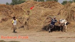 Funniest Bushman Prank in Village | Try Not To laugh | Fail Prank Video