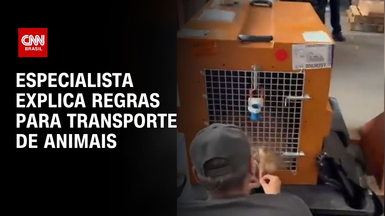 Especialista explica regras para transporte de animais | AGORA CNN