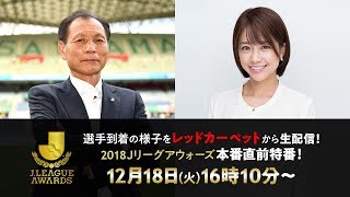 レッドカーペットに到着した選手が生出演!2018 Jリーグアウォーズ本番直前特番! 中川絵美里 検索動画26 レッドカーペットに到着した選手が生出演!2018 Jリーグアウォーズ本番直前特番! 中川絵美里 検索動画 26