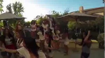 Pi Beta Phi Bid Day 2013