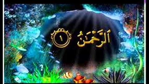 سورة الرحمن للقارىء هيثم بن محمد العتمونى