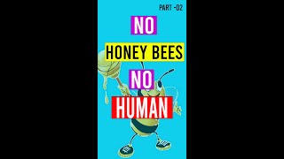 Importance of Honey Bees in Human Life Part 02 #shorts