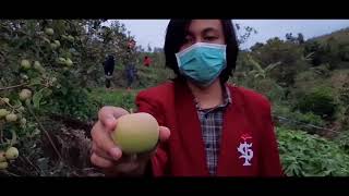 Finalis Engineering Innovation Challenge 2020