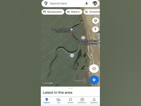 I found snake 🐍Skeleton in Google Map 😯😯😯😯. 