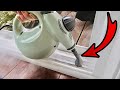 Sneaky Amazon Hack! 😱 (Dust Free Cleaning Trick) Save Time + Money 🤑 Steamshot 101 (clean with me)