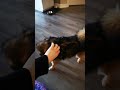 petit bébé mâle qui joue chez sa grand soeur divine de la première porté