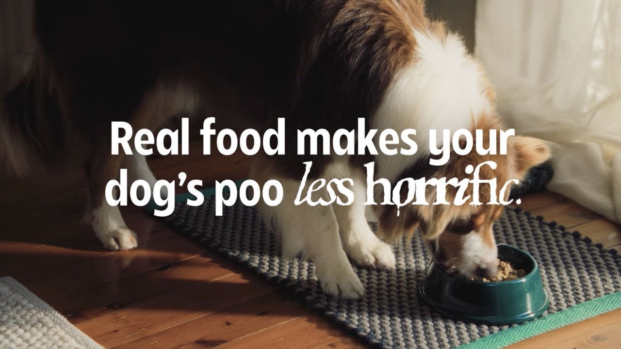 Lyka Pet Food — Lyka — The Brutal Pick-up (YouTube video ad)