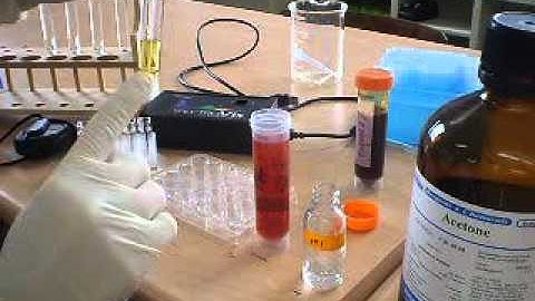 IB Chemistry on Iodination of propanone to determine the order of reaction using colorimeter