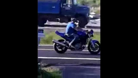 Rocky the Boston rides like a pro