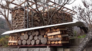 山に戻りました