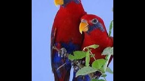 Parity check Error Detection and correction mechanism  even parity and odd parity. parity bit &block