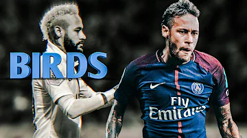 Neymar Jr - Birds - Imagine Dragons - Skills & Goals HD