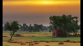 Beautiful village in punjab 2020 Pakistan pind di life