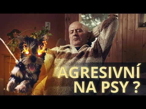 Video: Přehled Agresivity - Psi