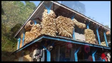 NARDF funded Quality Protein Maize Project