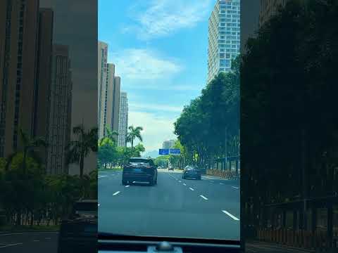 Shenzhen Street Attractions Street Scenery Roadside