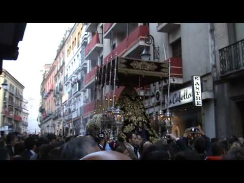 Real, Ilustre y Venerable Hermandad de Nazarenos y Primitiva Cofradía Servita de Nuestra Señora de los Dolores, Santísimo Cristo de la Providencia, María Santísima de la Soledad y San Marcos Evangelista