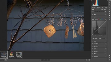 Adobe Raw Curve Panel: Controlling Exposure and Contrast