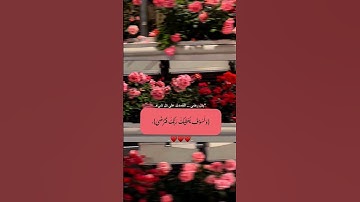 سورة الضحى #ماهر_المعيقلي #اكسبلور #القزابري #صبرو #قران_كريم