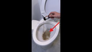 Add Black Pepper to Your Toilet and Watch the Magic! 🚽✨