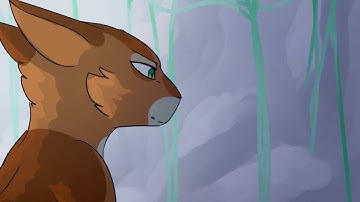 Dirty Paws Warriors MAP part 13 + UPDATES