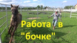 Работа в "бочке". Воспитание лошади. Ответы на вопросы