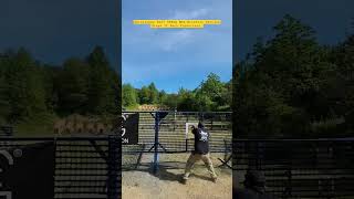 uspsa shorts unloadshowclear ipsc competition idpa production  pistol ontelaunee shooting