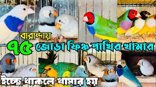 বারান্দায় ৭৫ জোড়া ফিঞ্চ পাখির খামার | Habib Aviary | Finch Bird Farm In BD | Exotic Finches #viral